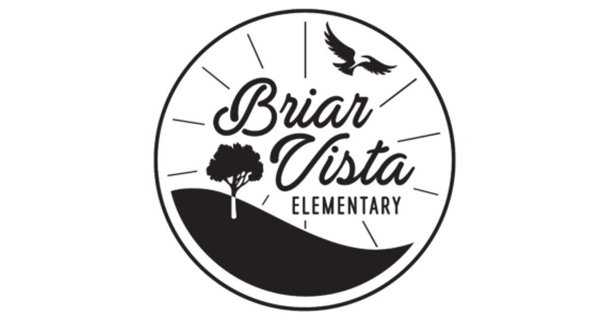 Briar vista shoe shop clearance